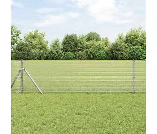 Aed Koos Postidega Hõbedane 0.4 X 10 M Teras