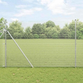 Žogs Ar Stabiem. Sudraba 1.6 X 25 M Tērauds Vidaxl