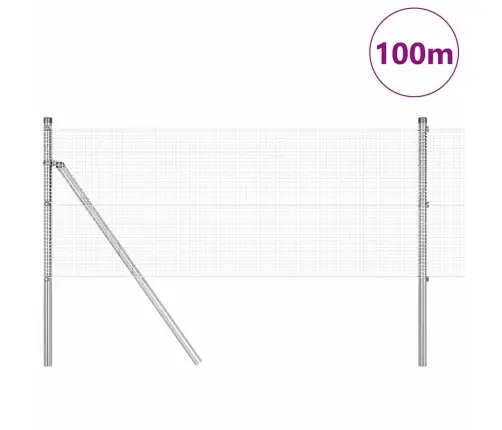 Aed Koos Postidega Hõbedane 0.6 X 100 M Teras