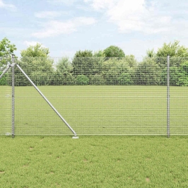 Žogs Ar Stabiem. Sudraba 1.4 X 25 M Tērauds Vidaxl