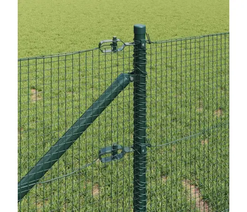 Metāla Žogs Ar 7 Pīlāra Tapām, Zaļš 0.4X10 M Tērauds Vidaxl