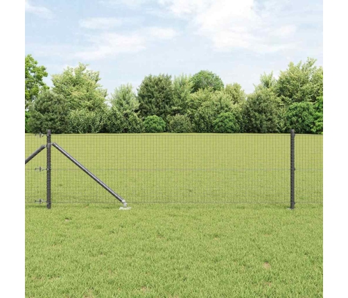 Metāla Žogs Ar 13 Naglu Stiprinājumiem Pelēkā Krāsā 0.4 X 50 M Vidaxl