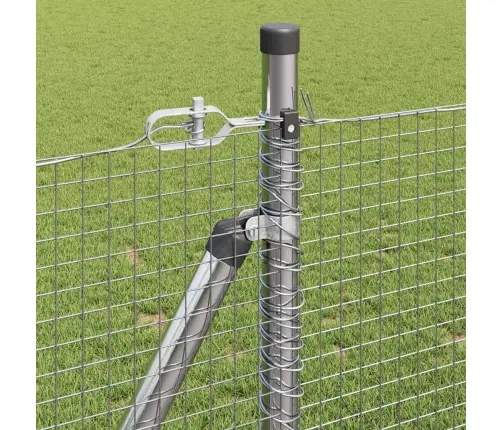 Aed Koos Postidega Hõbedane 1 X 10 M Teras