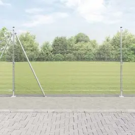 Žogs Ar Stabiem. Sudraba 1.6 X 10 M Tērauds Vidaxl