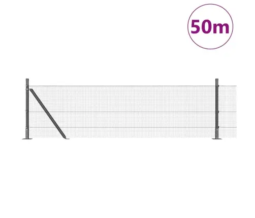 Tīkla Žogs Ar 13 Flanged Stabiem 0.6X50 M Galvanizēta Tērauda Vidaxl