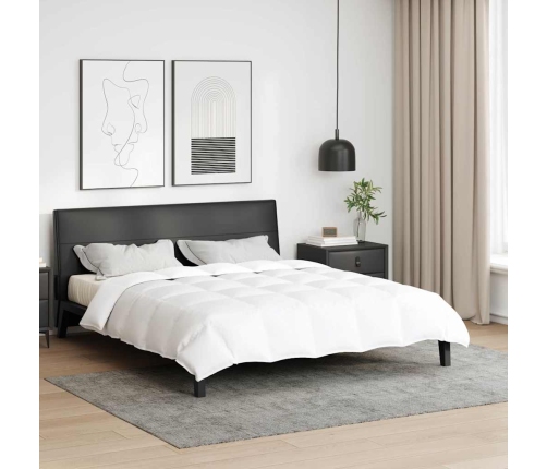 Pūkų Ir Antklodės Balta 240 X 220 Cm Pūkai
