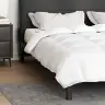 Pūkų Ir Antklodės Balta 200 X 220 Cm Pūkai Pūkų Ir Antklodės Balta 200 X 220 Cm Pūkai