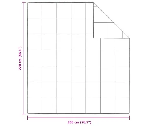 Žiemos Antklodė Balta 200 X 220 Cm Plunksna