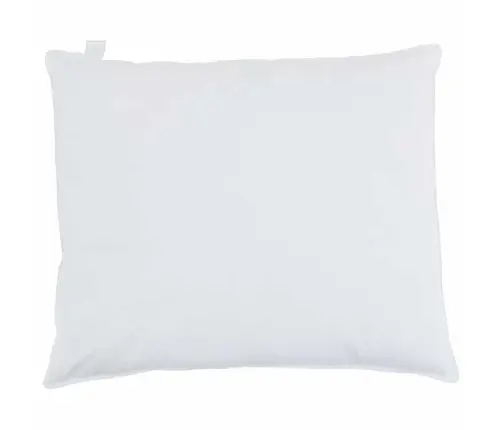 Padi Padjaga 2 Pcs Valge 60 X 70 Cm Sulgedest