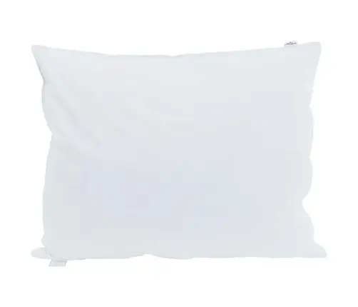 Pagalvė Su Pagalve 2 Pcs Balta 60 X 80 Cm Plunksna