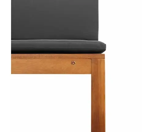 Dārza Krēsli Bez Roku Balstiem Ar Spilveniem 2 Gab. Solid Wood Akācija Vidaxl