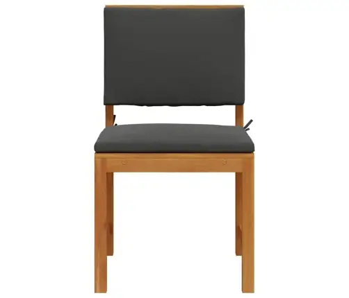 Dārza Krēsli Bez Roku Balstiem Ar Spilveniem 2 Gab. Solid Wood Akācija Vidaxl
