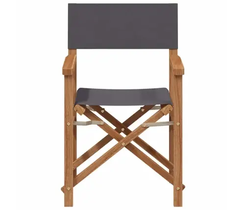 Salokāms Direktora Krēsls Pelēka 56 X 54 X 87 Cm Vidaxl