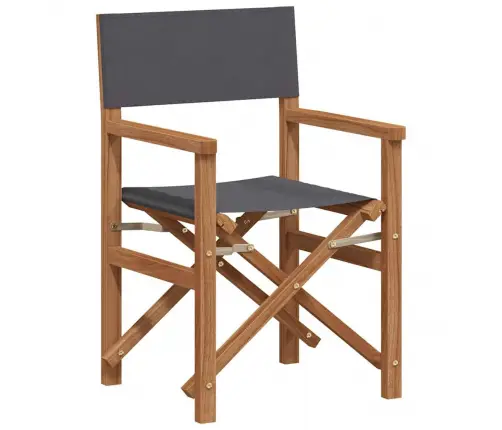 Salokāms Direktora Krēsls Pelēka 56 X 54 X 87 Cm Vidaxl