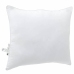 Spilveni 2 Pcs Balta 50 X 50 Cm Vidaxl