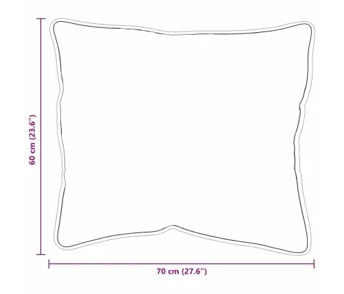 Spilveni 2 Pcs Balta 60 X 70 Cm Vidaxl