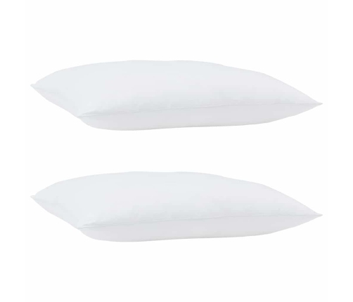Spilveni 2 Pcs Balta 60 X 80 Cm Vidaxl