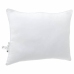 Spilveni 2 Pcs Balta 60 X 80 Cm Vidaxl