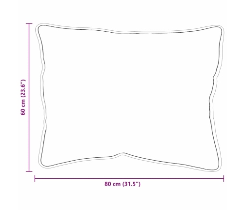 Spilveni 2 Pcs Balta 60 X 80 Cm Vidaxl