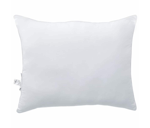 Spilveni 2 Pcs Balta 60 X 80 Cm Vidaxl