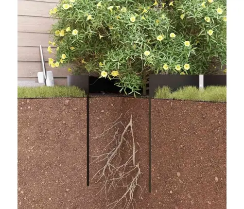 Sakņu Barjera Melna 1 X 5 M Hdpe Vidaxl