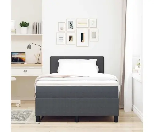 Kastītes Atsperu Gulta Tumši Pelēka 203 X 120 X 88 Cm Vidaxl