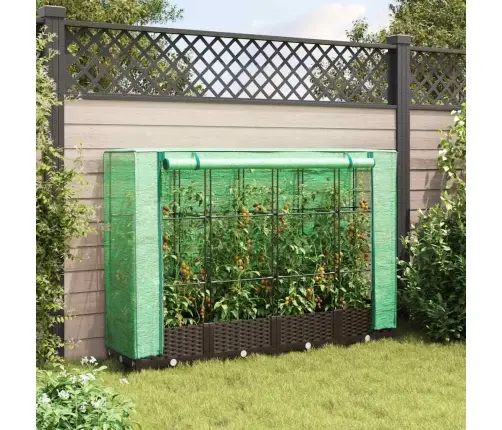 Taimekast Kasvuhoonekattega, Rotangi Välimus, 160 X 40 X 123 Cm