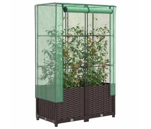 Pakelta Lysvė Su Šiltnamio Dangčiu, 80X40X138Cm