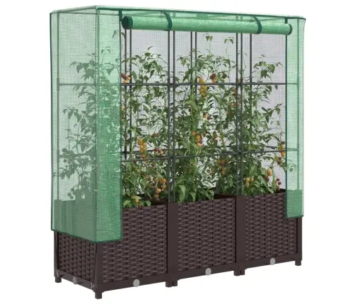 Pakelta Lysvė Su Šiltnamio Dangčiu, 120X40X138Cm