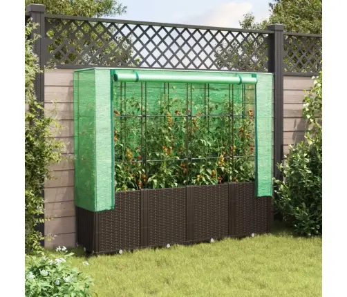 Pakelta Lysvė Su Šiltnamio Dangčiu, 160X40X153Cm