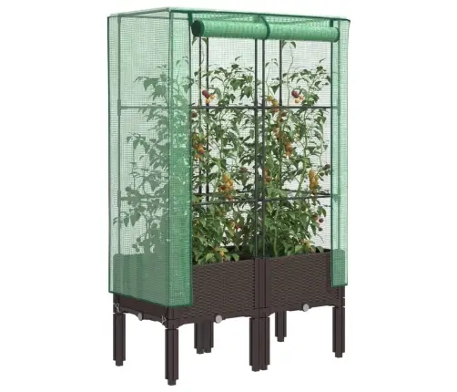 Pakelta Lysvė Su Šiltnamio Dangčiu, 80X40X140Cm