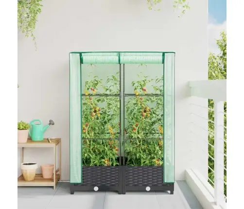 Pakelta Lysvė Su Šiltnamio Dangčiu, 80X40X123Cm