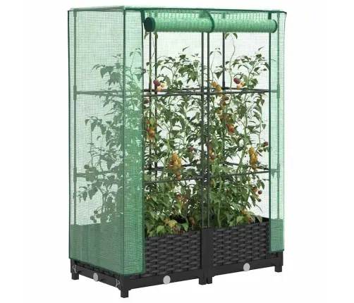 Pakelta Lysvė Su Šiltnamio Dangčiu, 80X40X123Cm