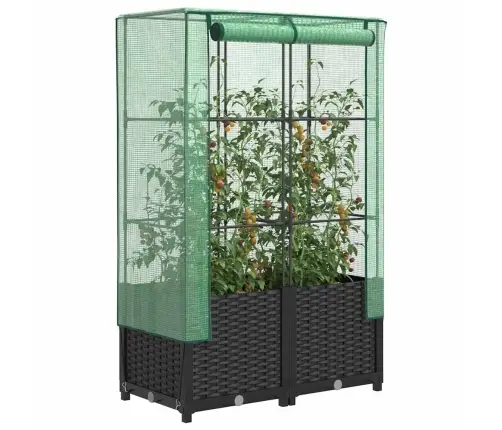 Pakelta Lysvė Su Šiltnamio Dangčiu, 80X40X138Cm