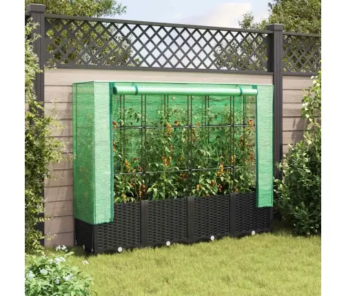 Kõrgpeenar Kasvuhoone Kattega, Rotangi Imitatsioon, 160 X 40 X 138 Cm