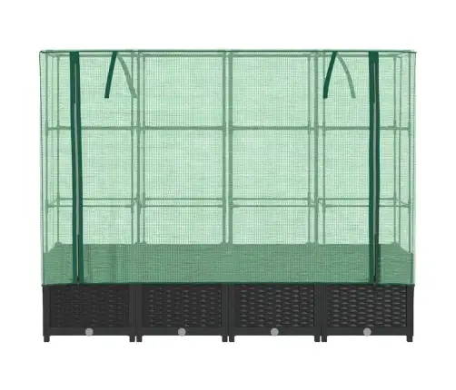 Kõrgpeenar Kasvuhoone Kattega, Rotangi Imitatsioon, 160 X 40 X 138 Cm