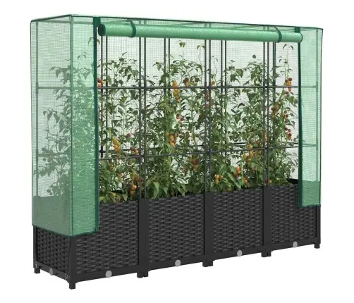 Kõrgpeenar Kasvuhoone Kattega, Rotangi Imitatsioon, 160 X 40 X 138 Cm