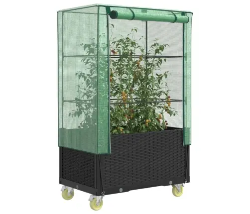 Pakelta Lysvė Su Uždangalu Ir Ratukais, 80X50X182Cm