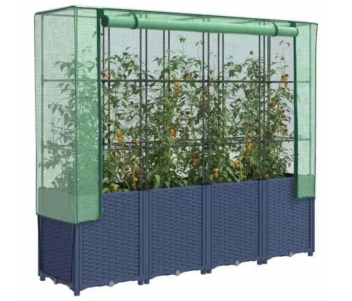 Kõrgpeenar Kasvuhoone Kattega, Rotangi Imitatsioon, 160 X 40 X 153 Cm