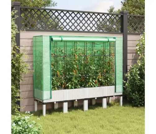 Pakelta Lysvė Su Šiltnamio Dangčiu, 160X40X140Cm
