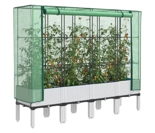 Pakelta Lysvė Su Šiltnamio Dangčiu, 160X40X140Cm