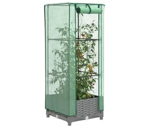 Pakelta Lysvė Su Šiltnamio Dangčiu, 40X40X123Cm