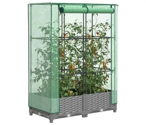 Pakelta Lysvė Su Šiltnamio Dangčiu, 80X40X123Cm