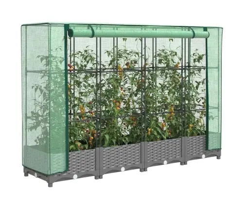 Pakelta Lysvė Su Šiltnamio Dangčiu, 160X40X123Cm