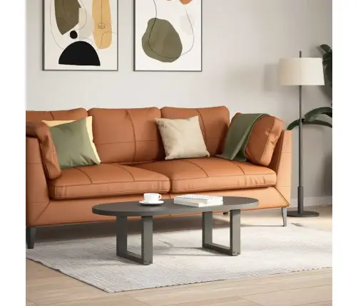 Kafijas Galdiņa Kājas, 2 Gab., U-Veida, Antracīta Krāsā, 30X(30-31) Cm, Tērauds Vidaxl