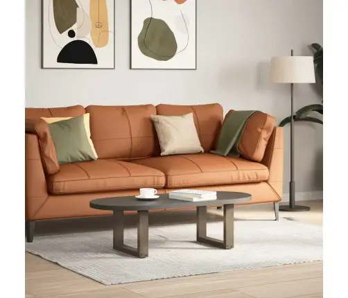 Kafijas Galdiņa Kājas, 2 Gab., U-Veida, Dabīgs Tērauds, 40X(30-31) Cm Vidaxl