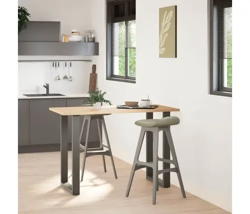 Baro Stalo Kojos, U Formos, 2 Vnt., Antracito Spalvos, 60X(90-91) cm Plienas