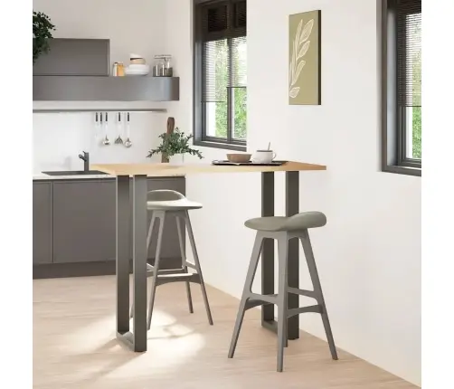 Baro Stalo Kojos, U Formos, 2 Vnt., Antracito Spalvos, 40X(110-111) cm Plienas