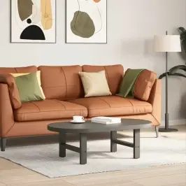 Kafijas Galdiņa Kājas, 2 Gab., Antracīta Krāsas, 50X(30-31) Cm, Tērauds Vidaxl