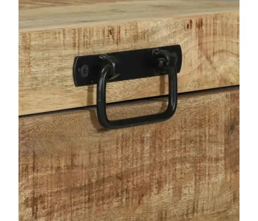 Saugojimo Dėžės Ruda 60 X 30 X 30 Cm Mango Medienos Masyvas